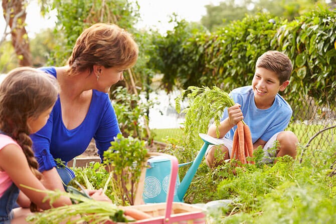 picking vegetables